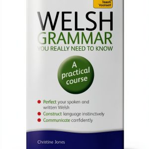 Teach Yourself Spanish Grammar Kindle eBook 1st Edition 289 Pages-0